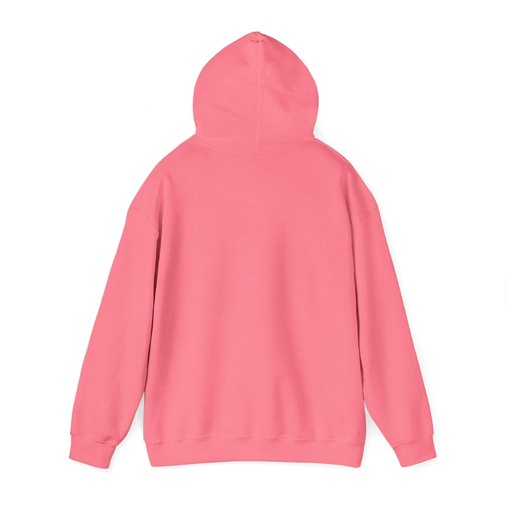 Told You I Was Busy Hoodie — Minimalist Text Graphic Pullover