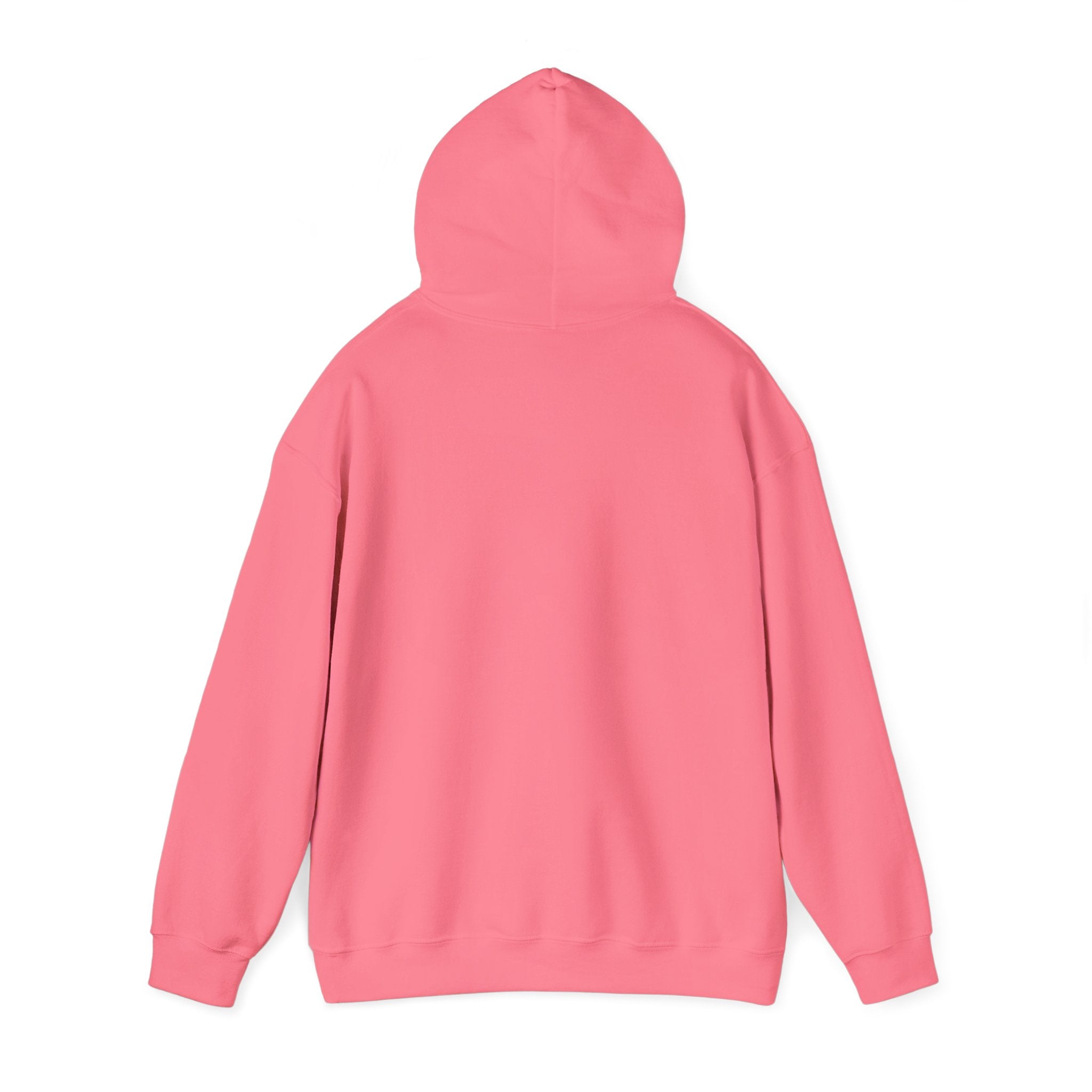 Told You I Was Busy Hoodie — Minimalist Text Graphic Pullover