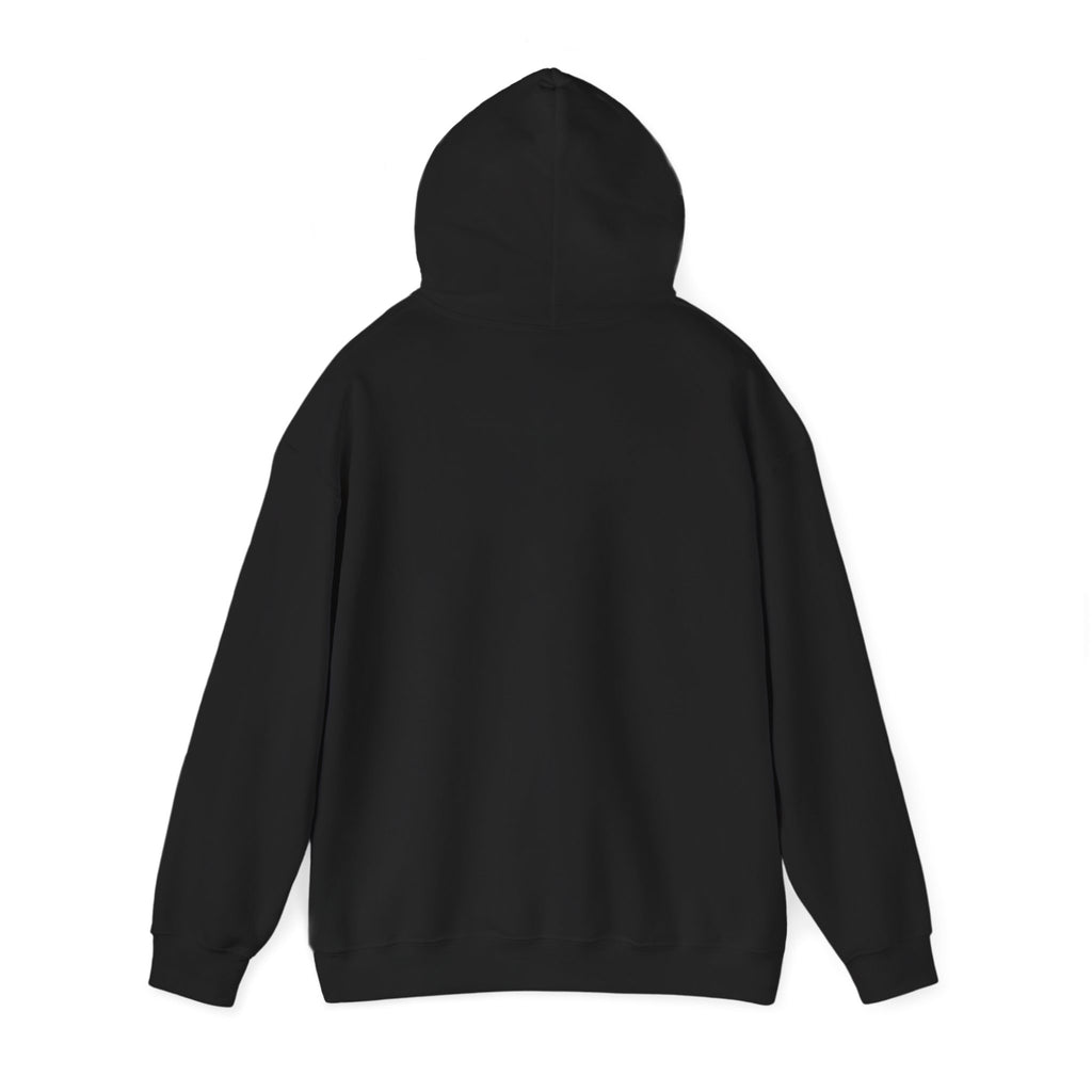Told You I Was Busy Hoodie — Minimalist Text Graphic Pullover