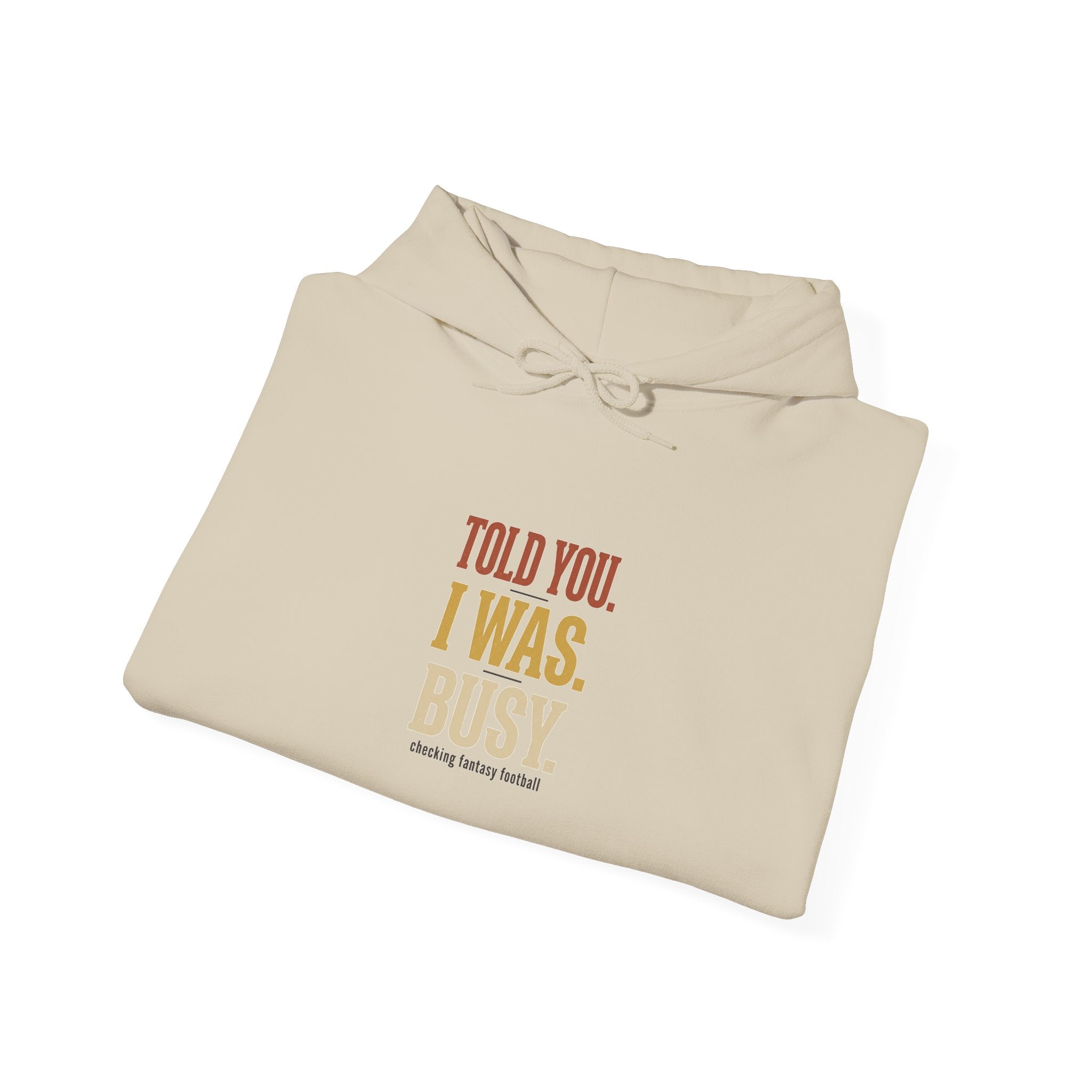 Told You I Was Busy Hoodie — Minimalist Text Graphic Pullover
