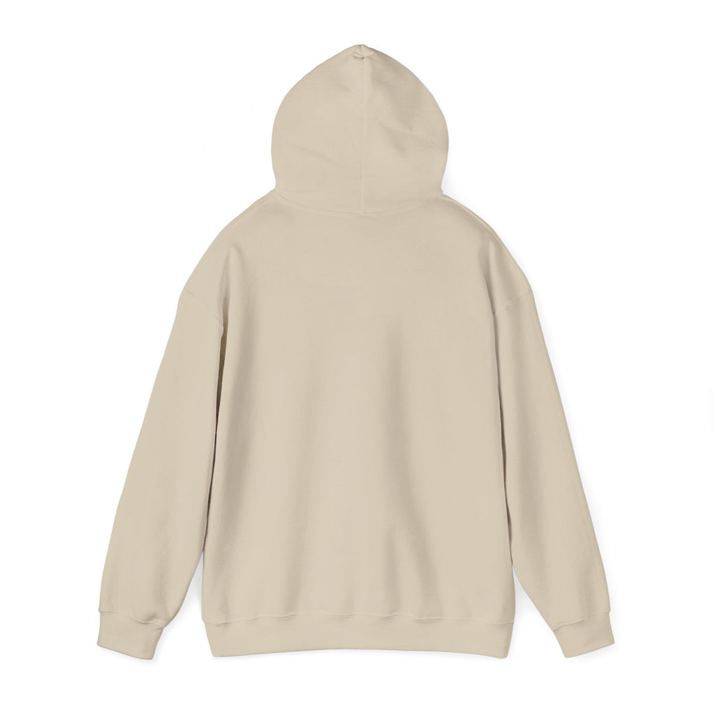 Told You I Was Busy Hoodie — Minimalist Text Graphic Pullover