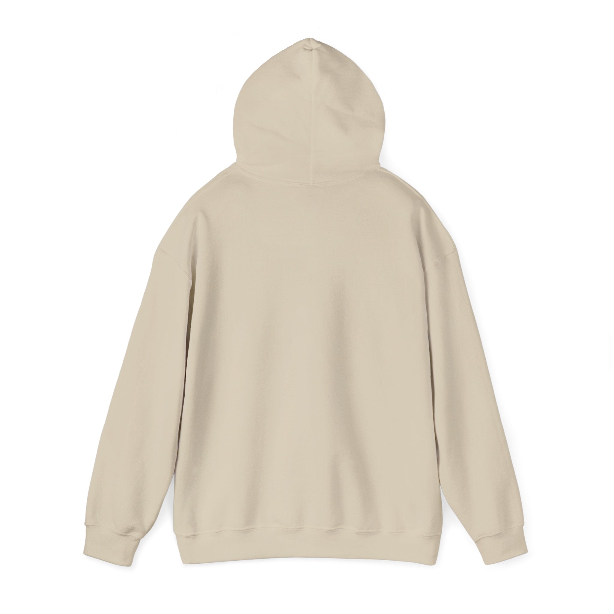 Told You I Was Busy Hoodie — Minimalist Text Graphic Pullover