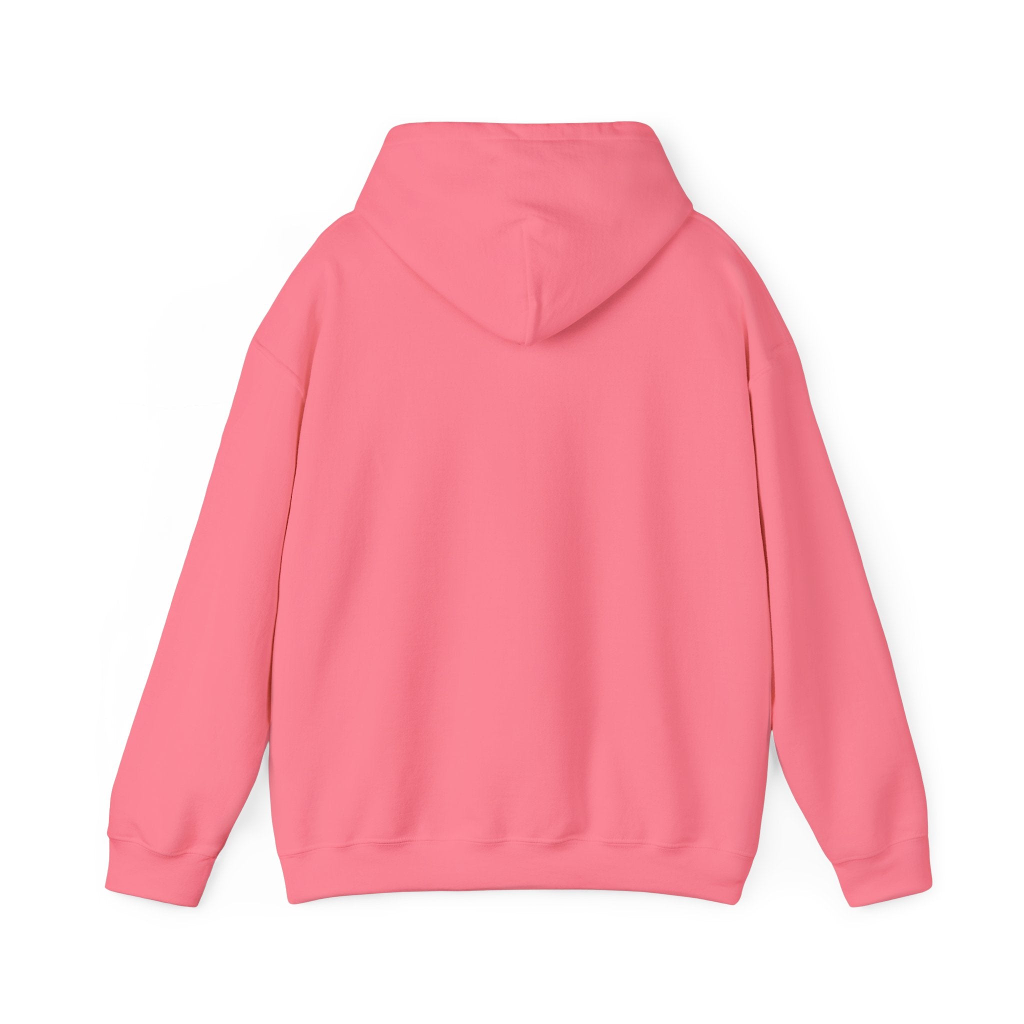 Told You I Was Busy Hoodie — Minimalist Text Graphic Pullover