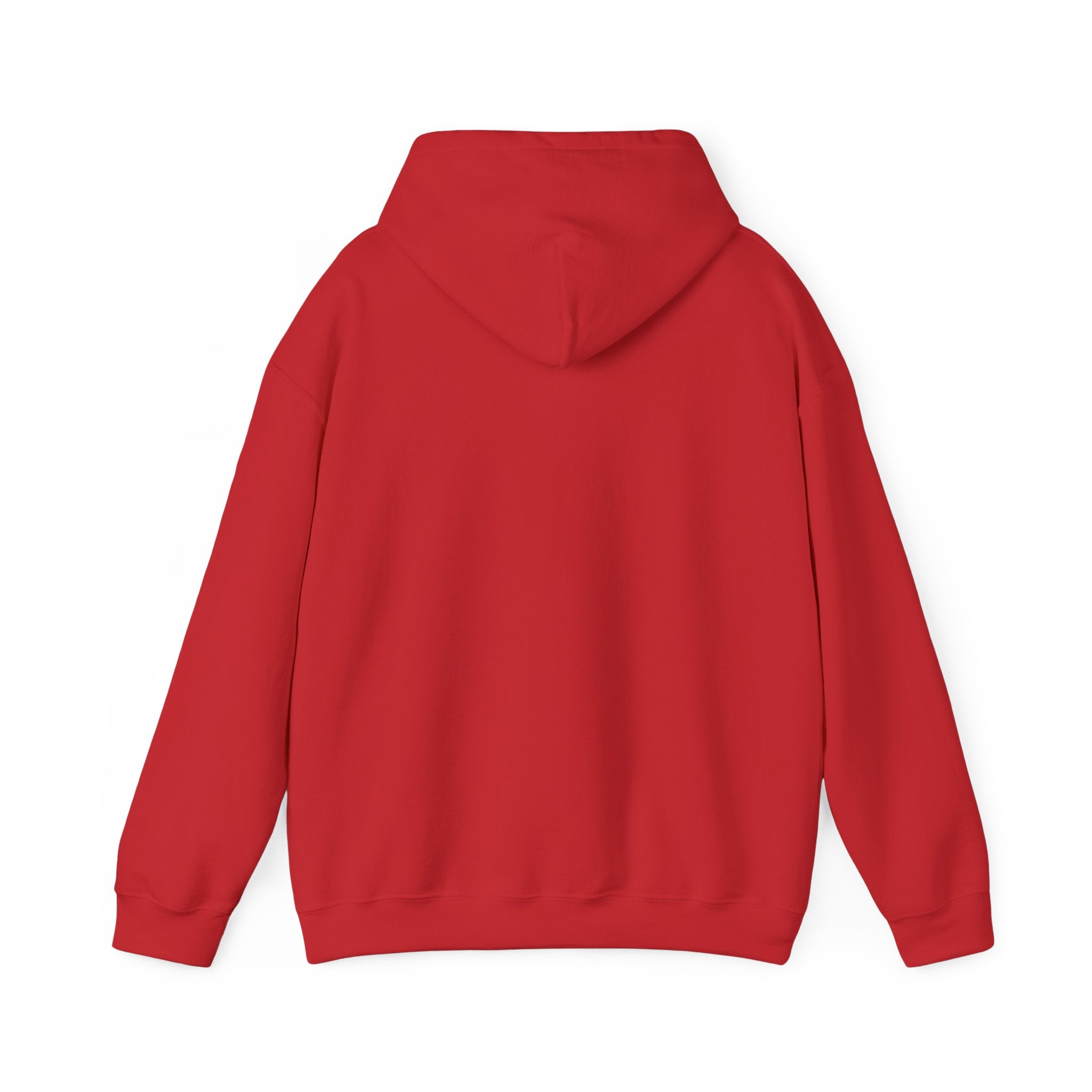 Told You I Was Busy Hoodie — Minimalist Text Graphic Pullover