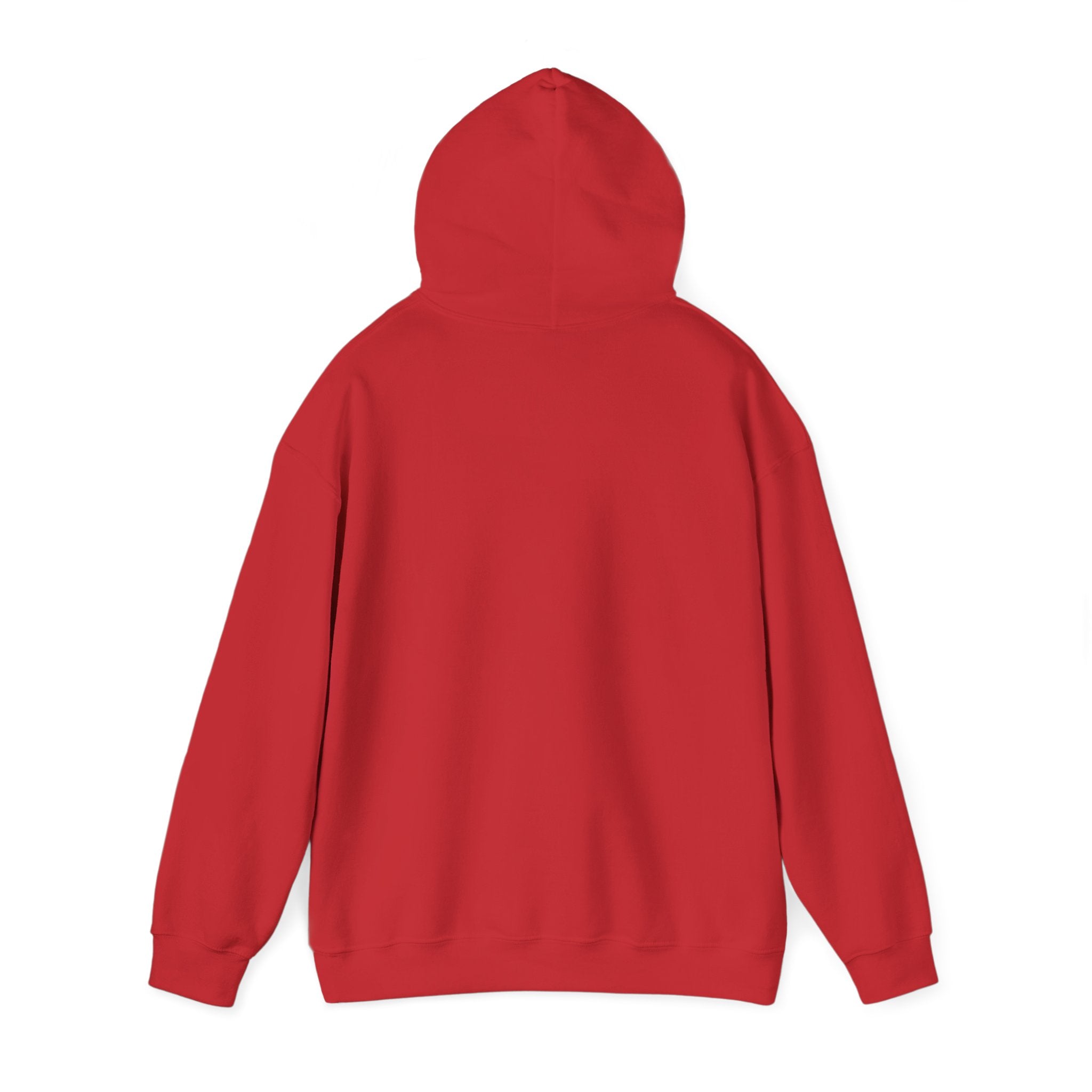 Told You I Was Busy Hoodie — Minimalist Text Graphic Pullover
