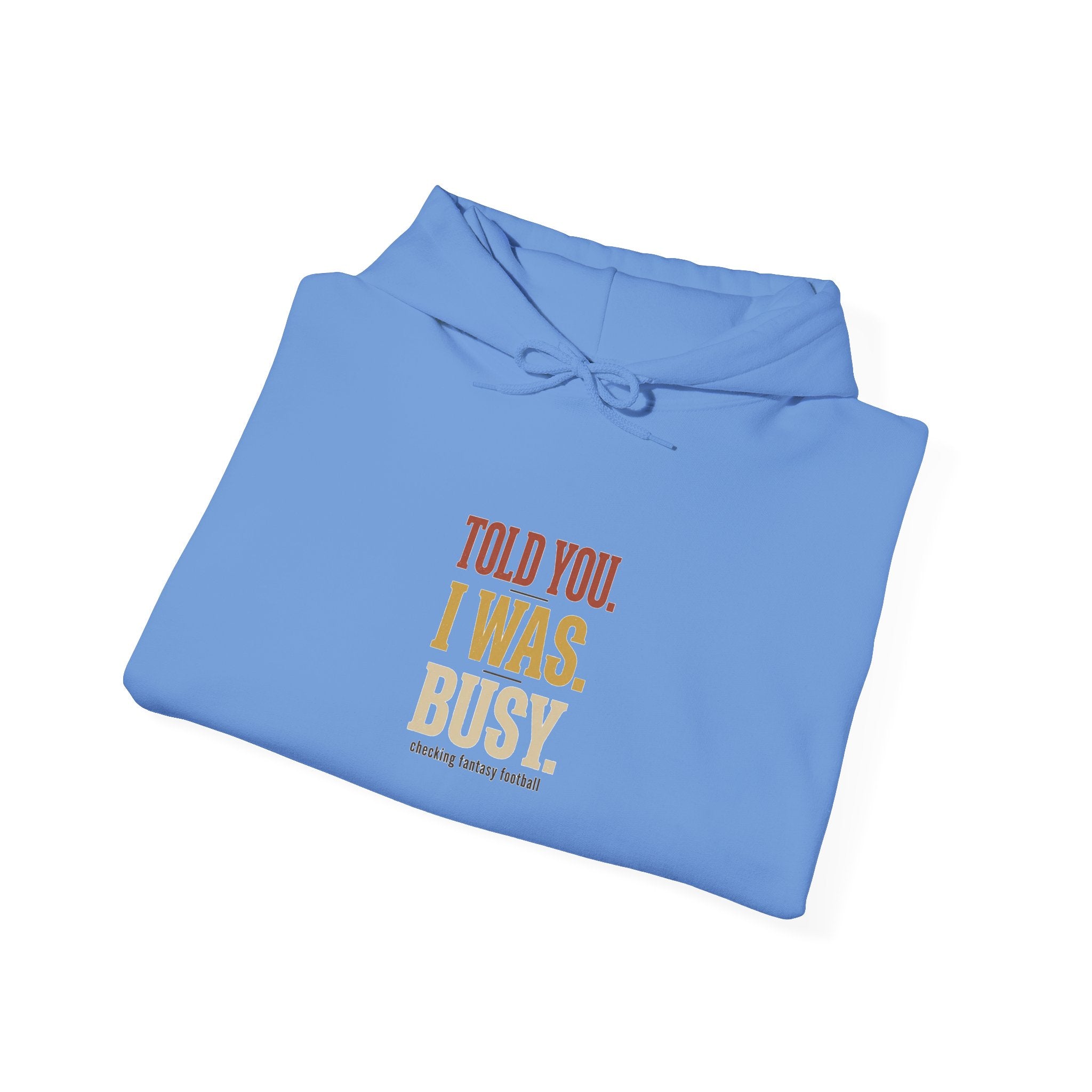 Told You I Was Busy Hoodie — Minimalist Text Graphic Pullover