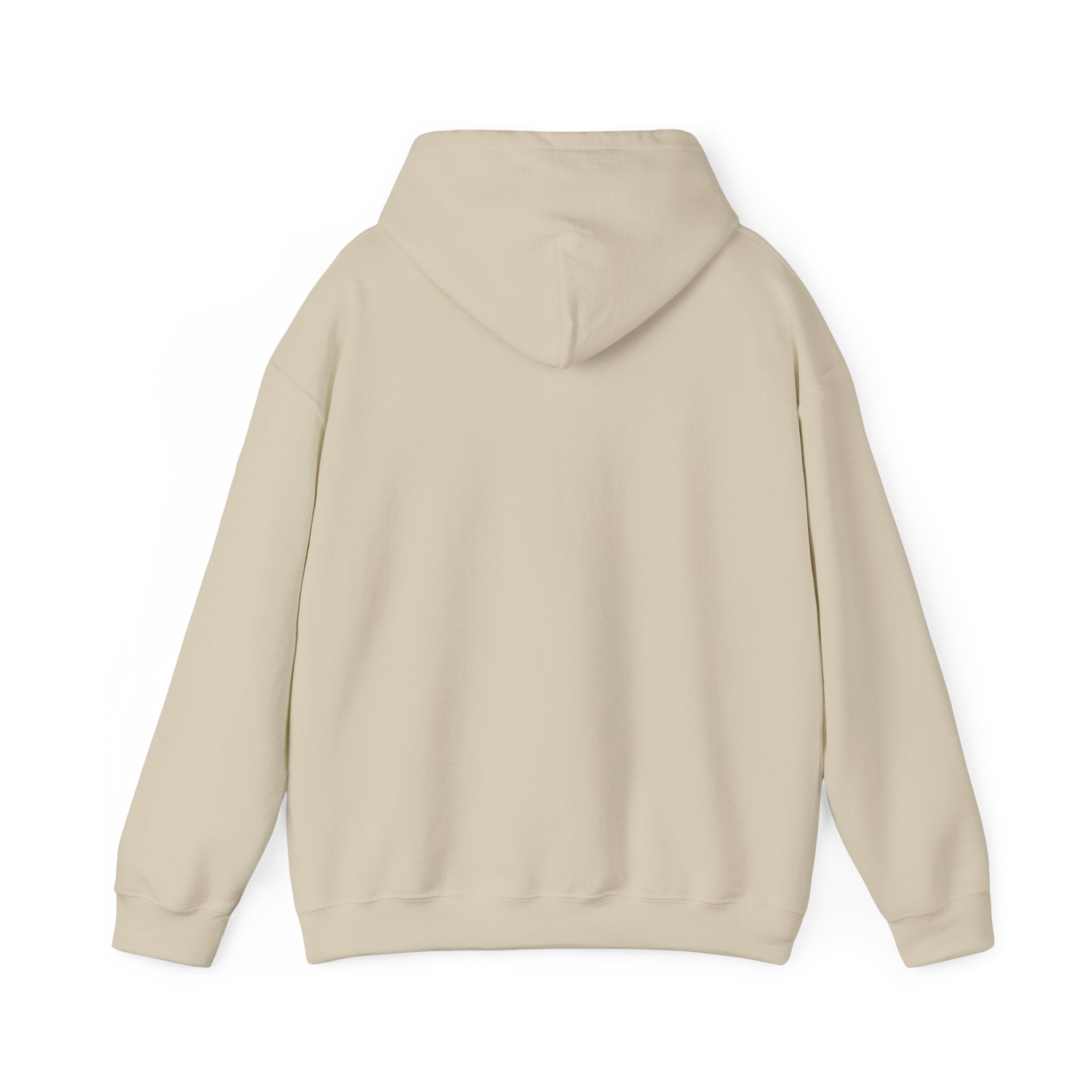 Told You I Was Busy Hoodie — Minimalist Text Graphic Pullover