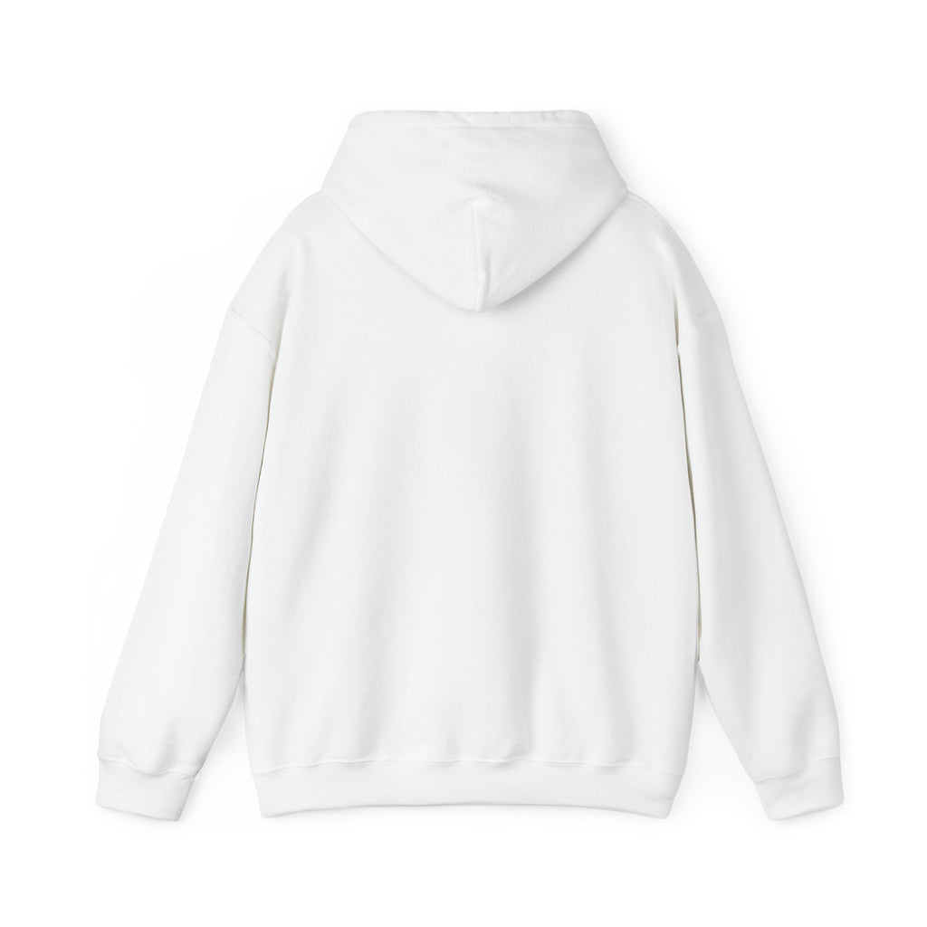 Told You I Was Busy Hoodie — Minimalist Text Graphic Pullover