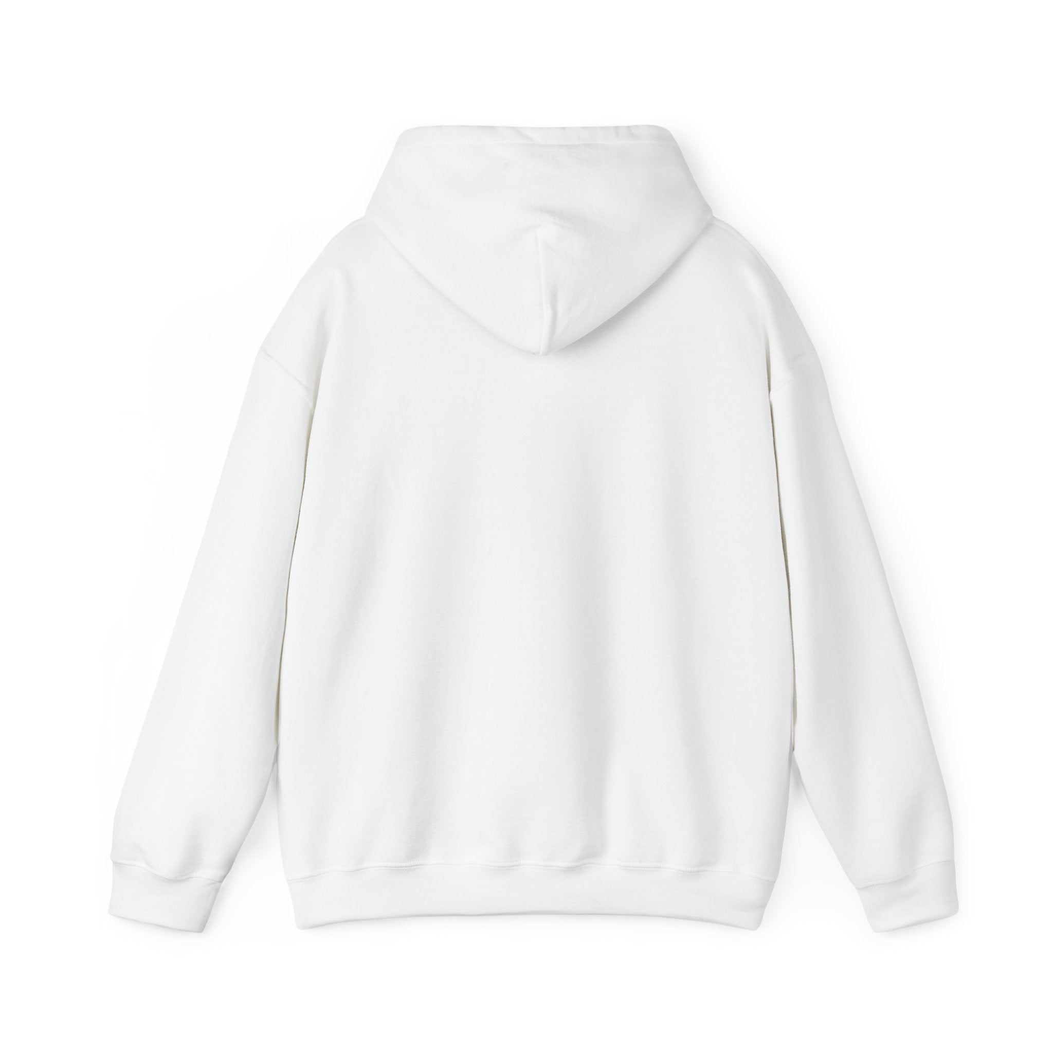 Told You I Was Busy Hoodie — Minimalist Text Graphic Pullover