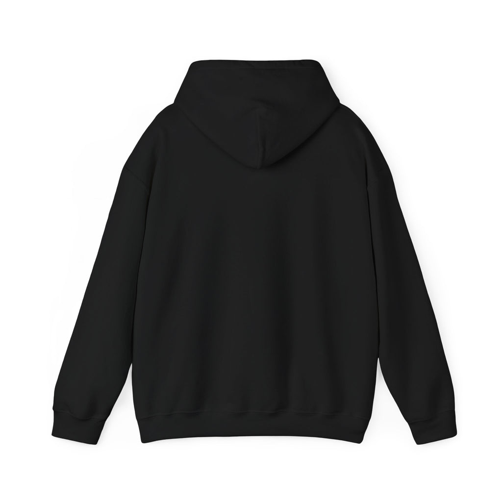 Told You I Was Busy Hoodie — Minimalist Text Graphic Pullover