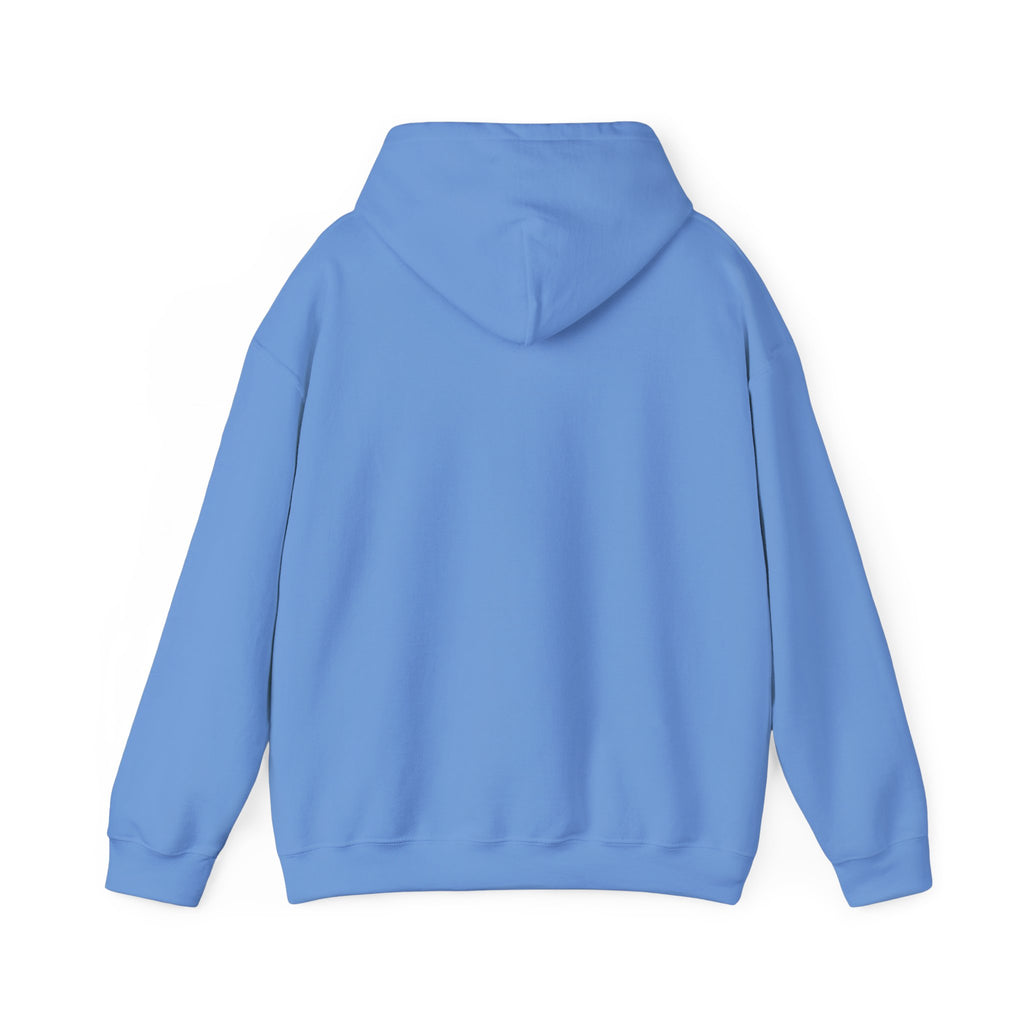 Told You I Was Busy Hoodie — Minimalist Text Graphic Pullover