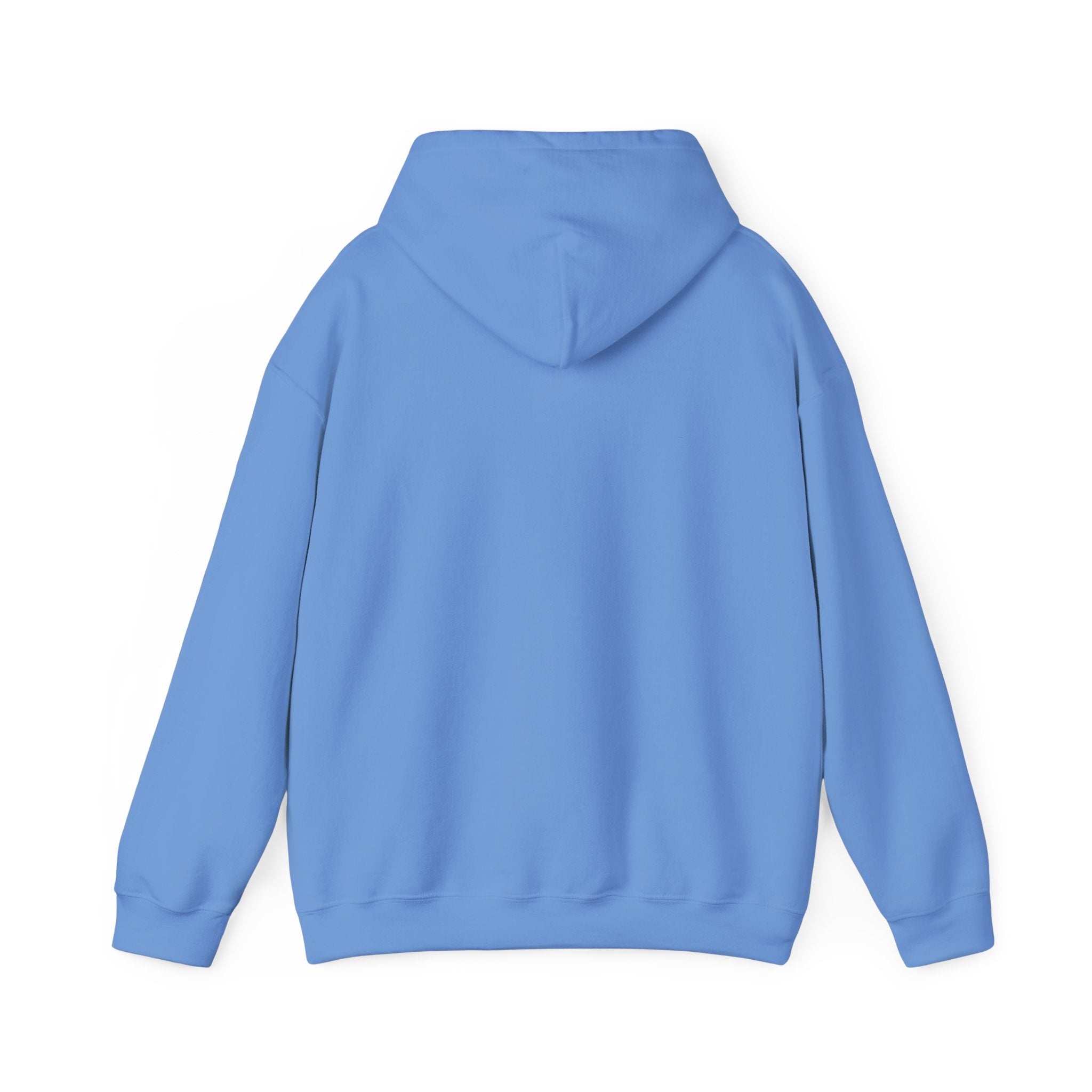 Told You I Was Busy Hoodie — Minimalist Text Graphic Pullover