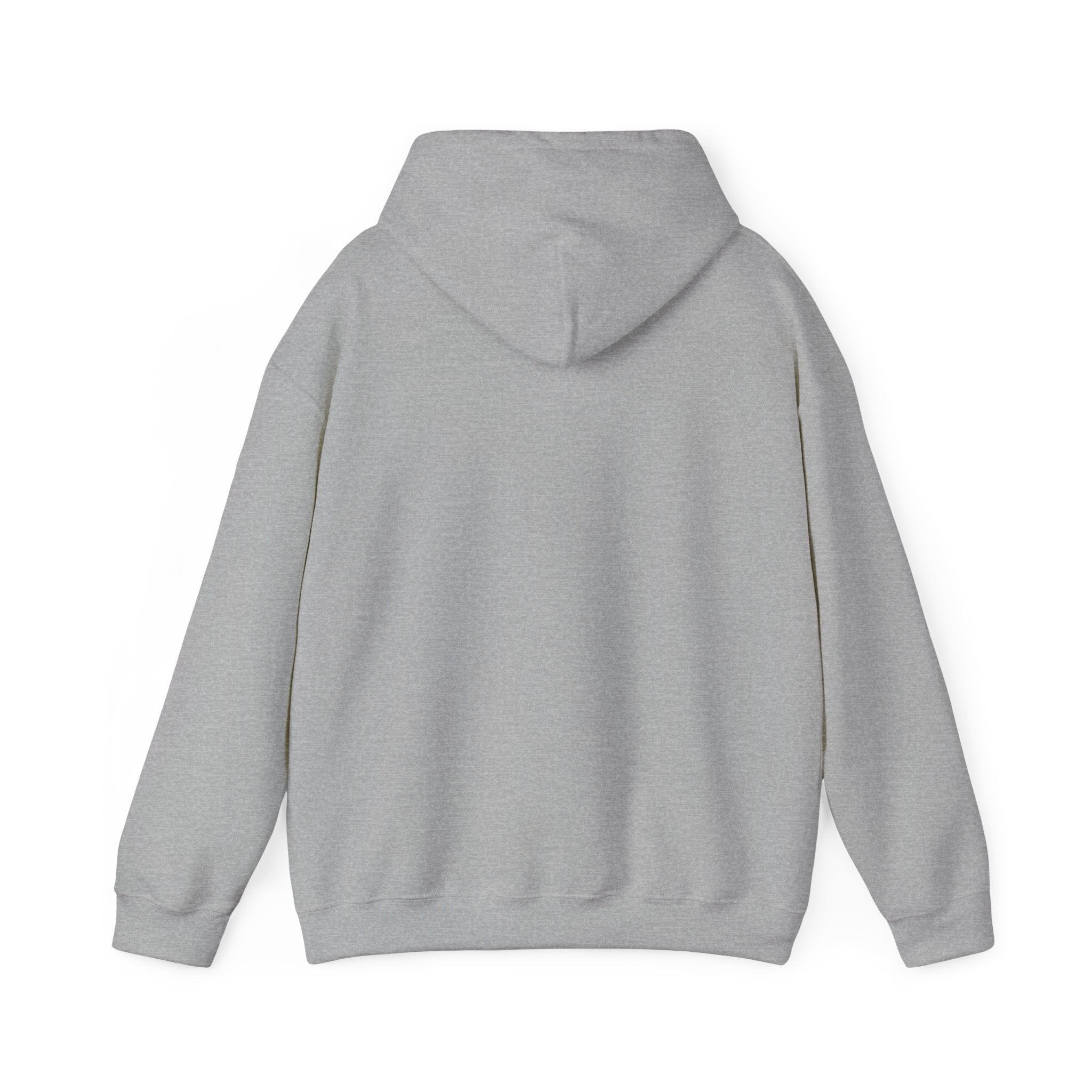 Told You I Was Busy Hoodie — Minimalist Text Graphic Pullover