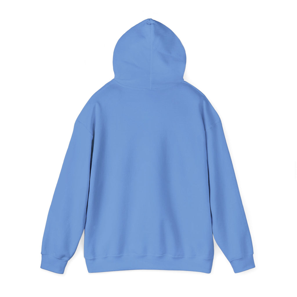 Told You I Was Busy Hoodie — Minimalist Text Graphic Pullover