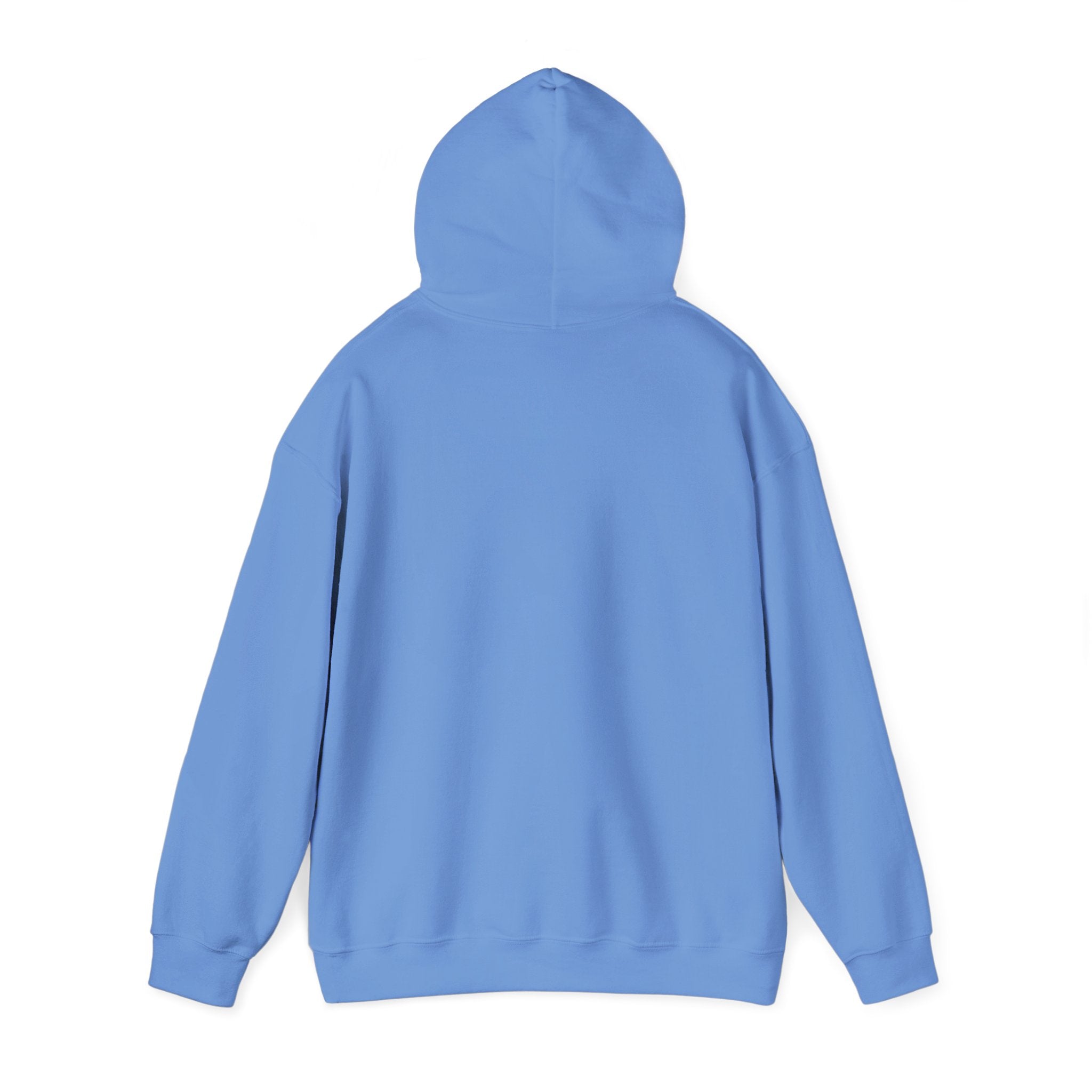 Told You I Was Busy Hoodie — Minimalist Text Graphic Pullover