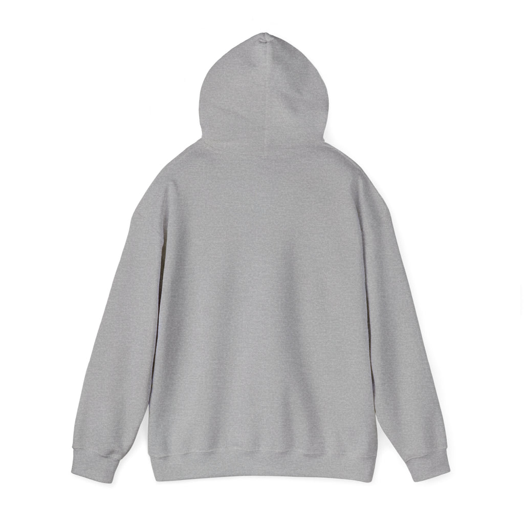 Told You I Was Busy Hoodie — Minimalist Text Graphic Pullover