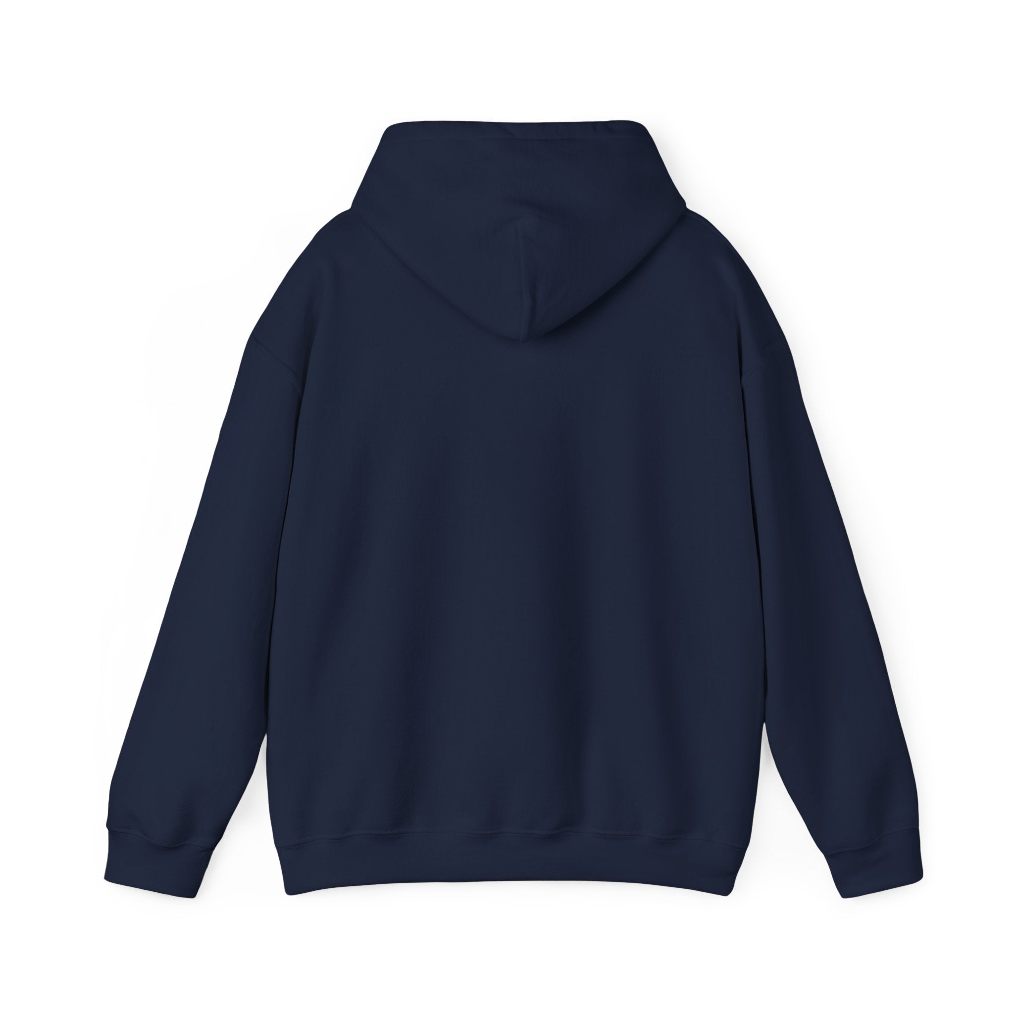 Told You I Was Busy Hoodie — Minimalist Text Graphic Pullover